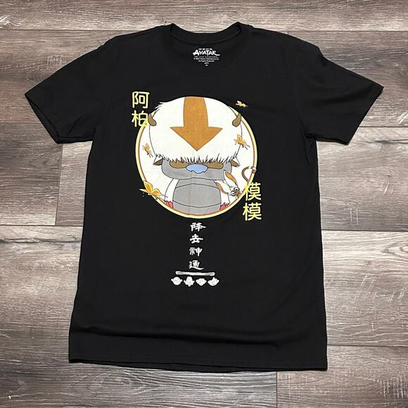 Avatar the Last Airbender Men's Medium T-Shirt Nickleodeon - Picture 1 of 4